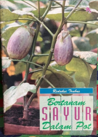 Image of Bertanam Sayur Dalam Pot